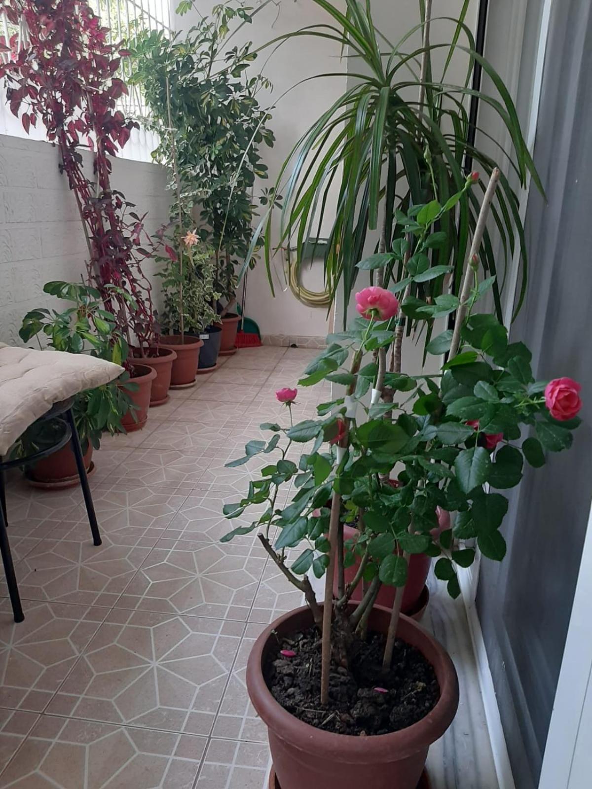 Sofia'S Modern Apartment Gjirokastër 外观 照片