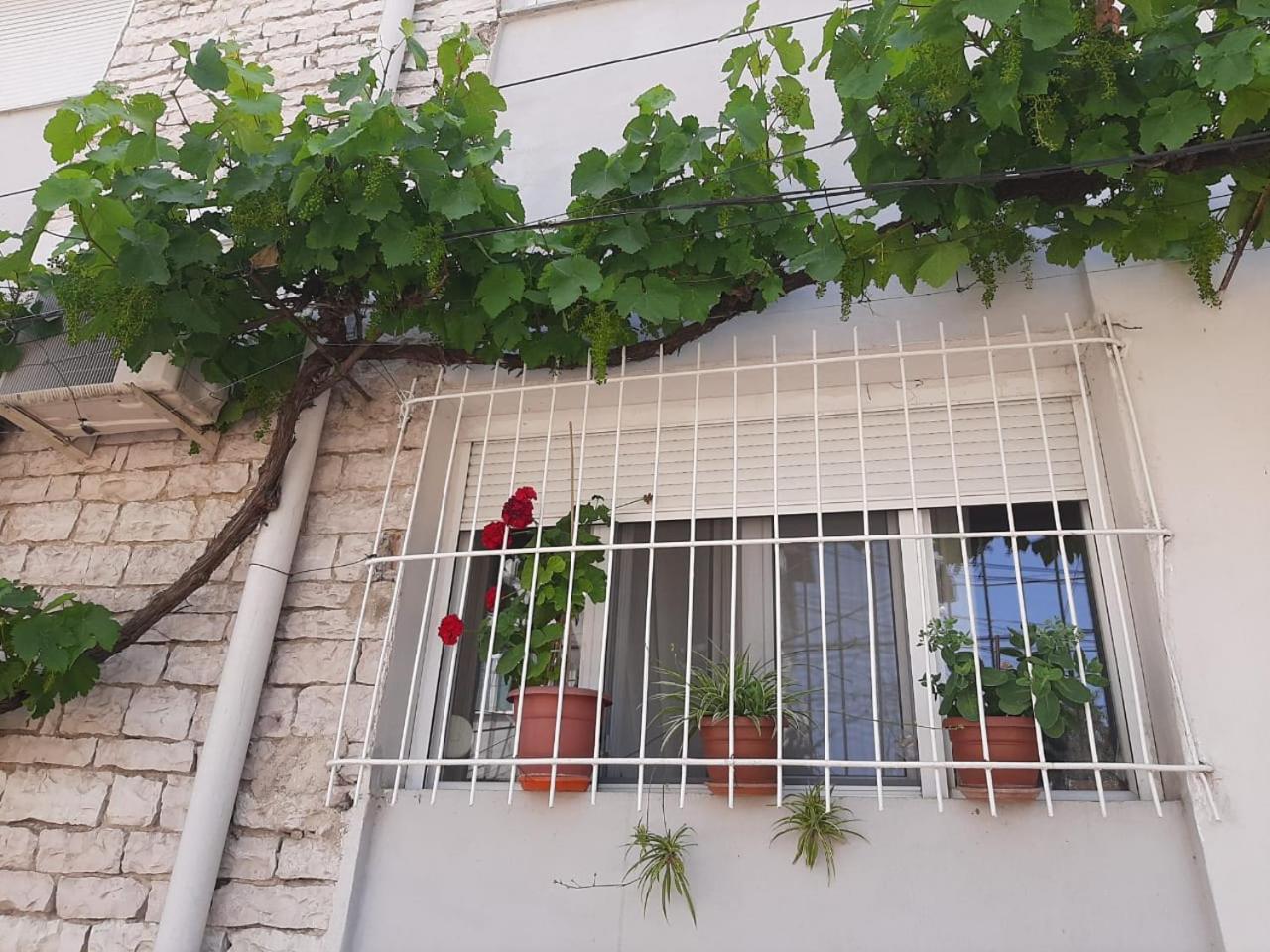 Sofia'S Modern Apartment Gjirokastër 外观 照片